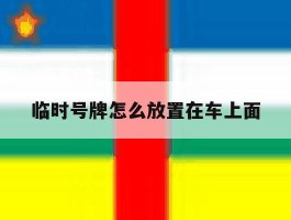 临时号牌怎么放置在车上面