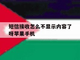 短信接收怎么不显示内容了呀苹果手机
