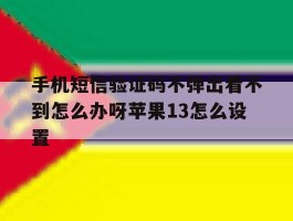 关于手机短信验证码不弹出看不到怎么办呀苹果13怎么设置的信息