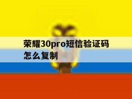 包含荣耀30pro短信验证码怎么复制的词条