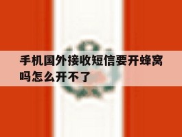 手机国外接收短信要开蜂窝吗怎么开不了