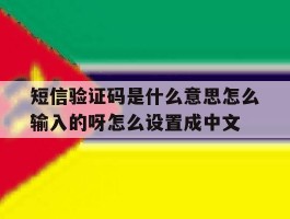 短信验证码是什么意思怎么输入的呀怎么设置成中文的简单介绍
