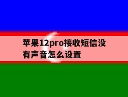 苹果12pro接收短信没有声音怎么设置