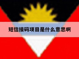 短信接码项目是什么意思啊