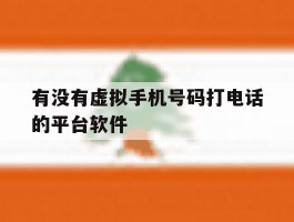 有没有虚拟手机号码打电话的平台软件