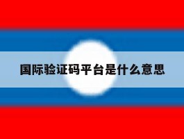 国际验证码平台是什么意思