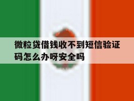 微粒贷借钱收不到短信验证码怎么办呀安全吗的简单介绍