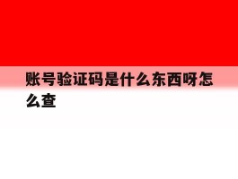 账号验证码是什么东西呀怎么查