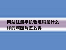 网站注册手机验证码是什么样的啊图片怎么弄