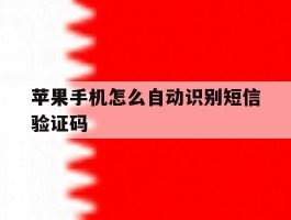 苹果手机怎么自动识别短信验证码