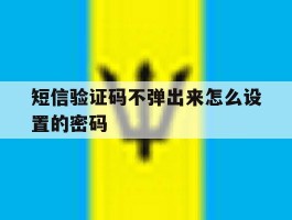 短信验证码不弹出来怎么设置的密码