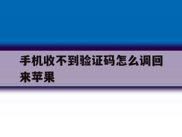 手机收不到验证码怎么调回来苹果