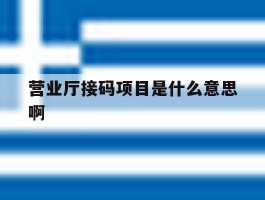 营业厅接码项目是什么意思啊