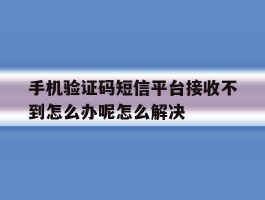 手机验证码短信平台接收不到怎么办呢怎么解决的简单介绍