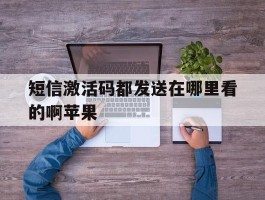 短信激活码都发送在哪里看的啊苹果
