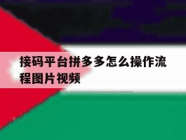 接码平台拼多多怎么操作流程图片视频