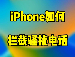 免费手机临时号码怎么弄的呢苹果版