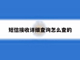 短信接收详细查询怎么查的