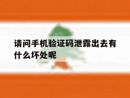 请问手机验证码泄露出去有什么坏处呢