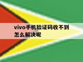 vivo手机验证码收不到怎么解决呢