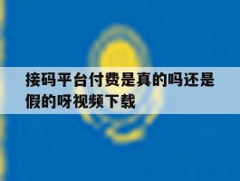 关于接码平台付费是真的吗还是假的呀视频下载的信息
