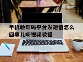手机验证码平台发短信怎么回事儿啊视频教程
