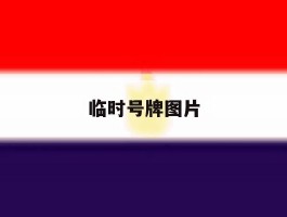 临时号牌图片