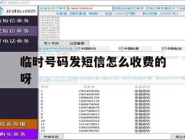 临时号码发短信怎么收费的呀的简单介绍