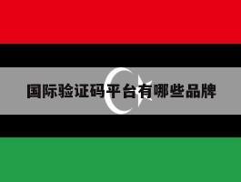 国际验证码平台有哪些品牌