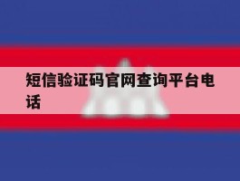 短信验证码官网查询平台电话