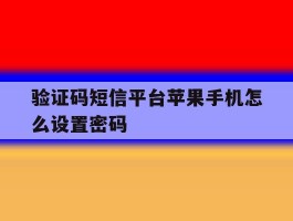 验证码短信平台苹果手机怎么设置密码