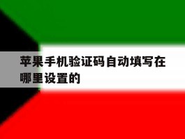 苹果手机验证码自动填写在哪里设置的