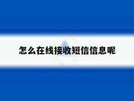 怎么在线接收短信信息呢