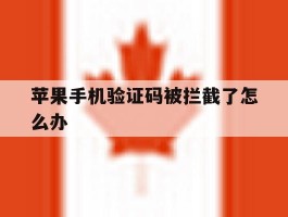 苹果手机验证码被拦截了怎么办