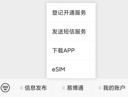 关于接收验证码的虚拟手机号怎么设置密码保护呢苹果的信息