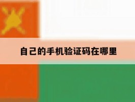 自己的手机验证码在哪里
