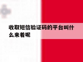 收取短信验证码的平台叫什么来着呢
