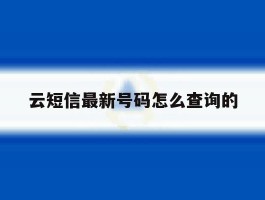 云短信最新号码怎么查询的