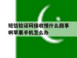 关于短信验证码接收慢什么回事啊苹果手机怎么办的信息
