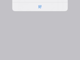 包含短信激活不了怎么回事儿呀苹果版的词条
