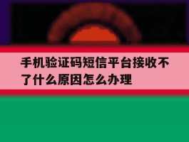 手机验证码短信平台接收不了什么原因怎么办理的简单介绍