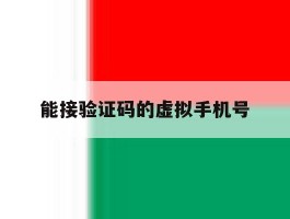 能接验证码的虚拟手机号