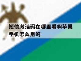 短信激活码在哪里看啊苹果手机怎么用的