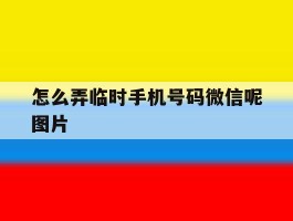 怎么弄临时手机号码微信呢图片