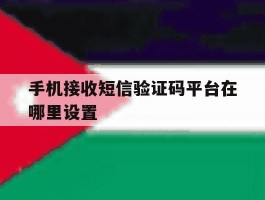 手机接收短信验证码平台在哪里设置