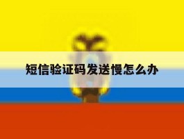短信验证码发送慢怎么办