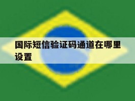 国际短信验证码通道在哪里设置