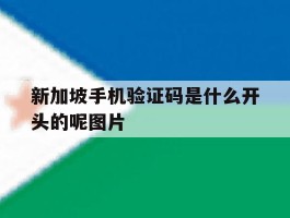 新加坡手机验证码是什么开头的呢图片