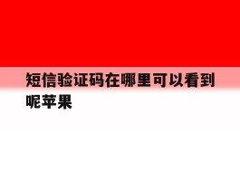 短信验证码在哪里可以看到呢苹果