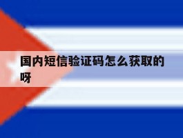 国内短信验证码怎么获取的呀